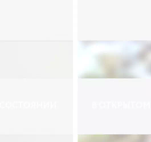 INTEGRA SLIM Duo Charm белый