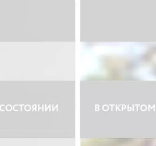 INTEGRA SLIM Duo Charm серебрянный