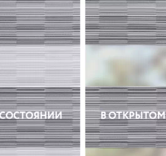 INTEGRA BOX Duo Organic грейдж