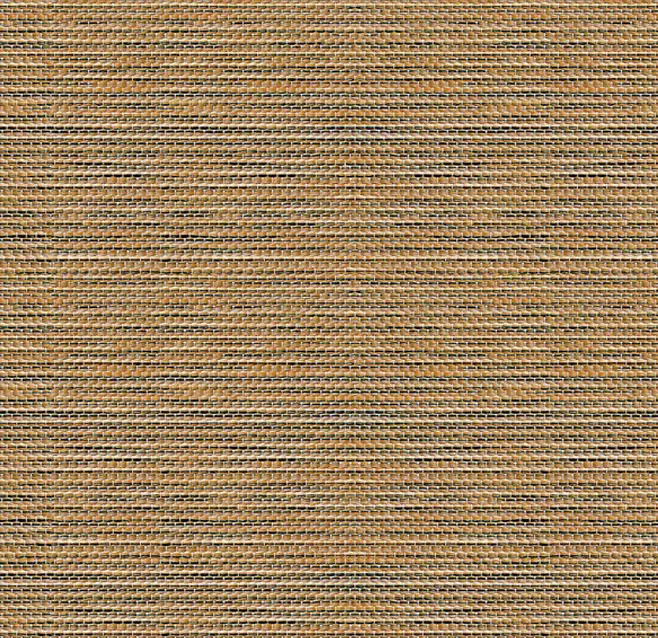 ROLL Сафари 055