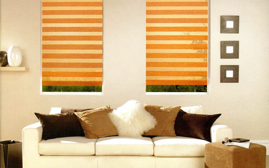 Рулонные шторы Зебра в интерьере комнаты для отдыха
